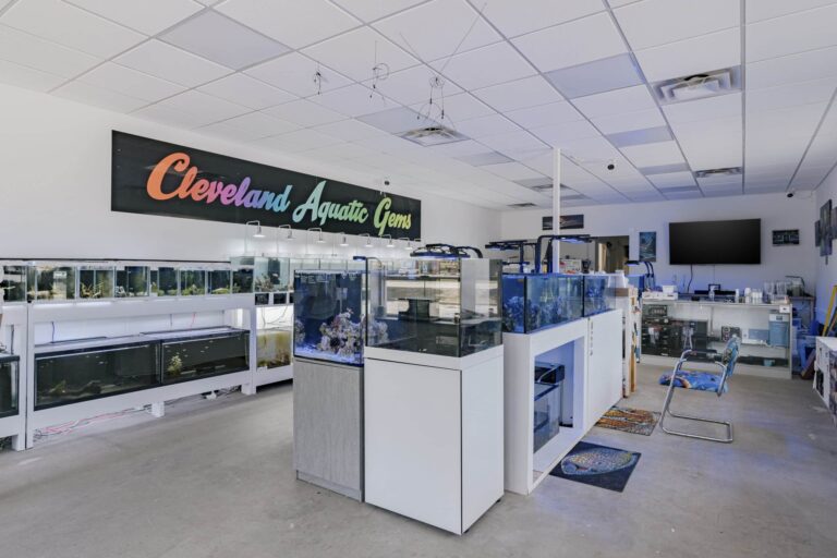 Interior of an aquarium store named Cleveland Aquatic Gems, featuring multiple display tanks filled with aquatic plants and fish. The tanks are positioned on shelves and counters in a well-lit room, with a large sign displaying the store's name on the wall. A chair and several rugs are placed on the concrete floor.